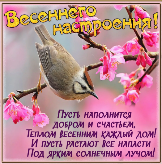 Желаю все весеннего настроения 