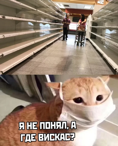 Коронавирус приколы, подборка смешных картинок, фото 28 Коронавирус приколы, подборка смешных картинок, фото 28