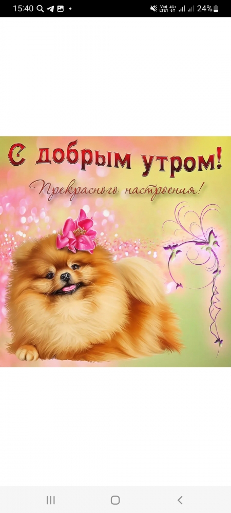 Поднимет настроение любому флегматику!, фото 19 Поднимет настроение любому флегматику!, фото 19