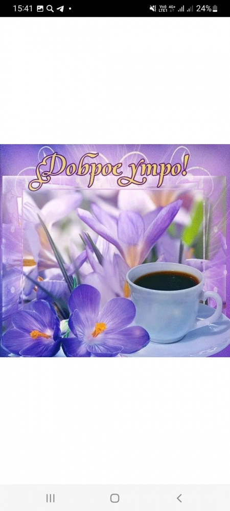 Поднимет настроение любому флегматику!, фото 17 Поднимет настроение любому флегматику!, фото 17