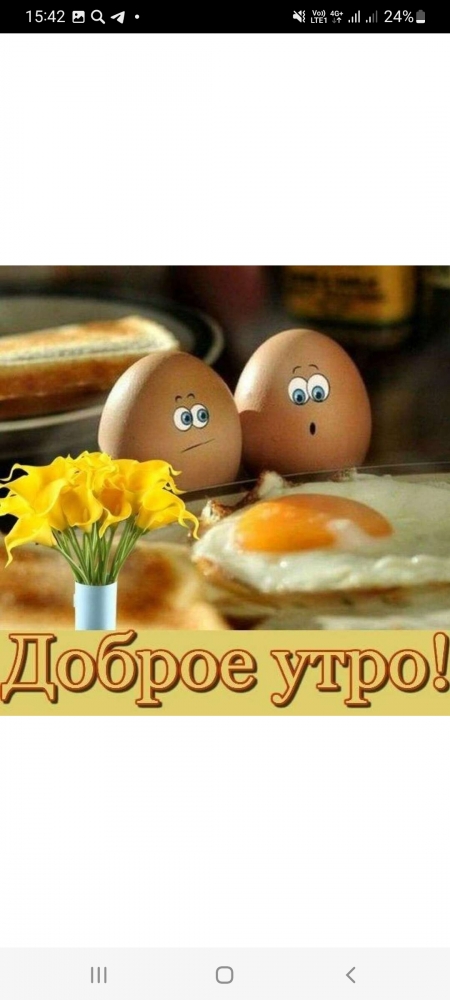 Поднимет настроение любому флегматику!, фото 14 Поднимет настроение любому флегматику!, фото 14