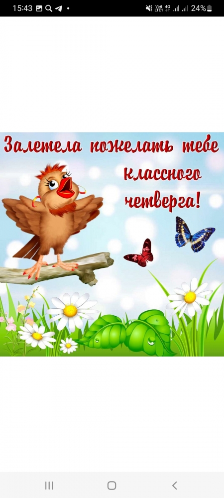 Поднимет настроение любому флегматику!, фото 13 Поднимет настроение любому флегматику!, фото 13