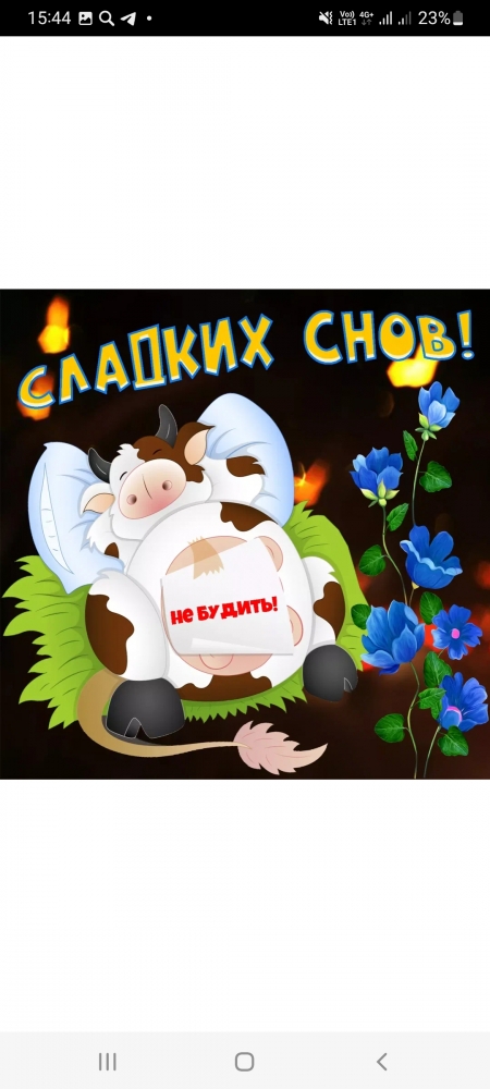 Поднимет настроение любому флегматику!, фото 10 Поднимет настроение любому флегматику!, фото 10