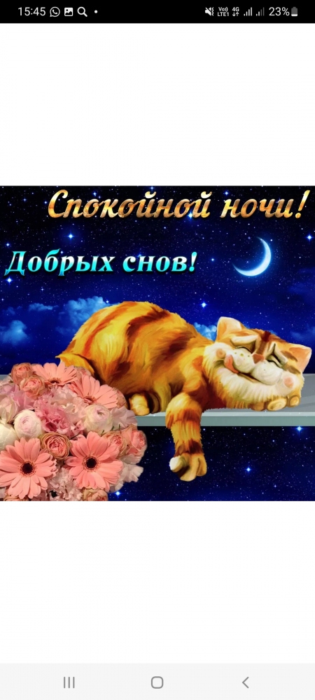 Поднимет настроение любому флегматику!, фото 7 Поднимет настроение любому флегматику!, фото 7