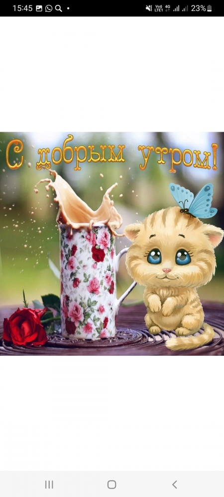 Поднимет настроение любому флегматику!, фото 6 Поднимет настроение любому флегматику!, фото 6