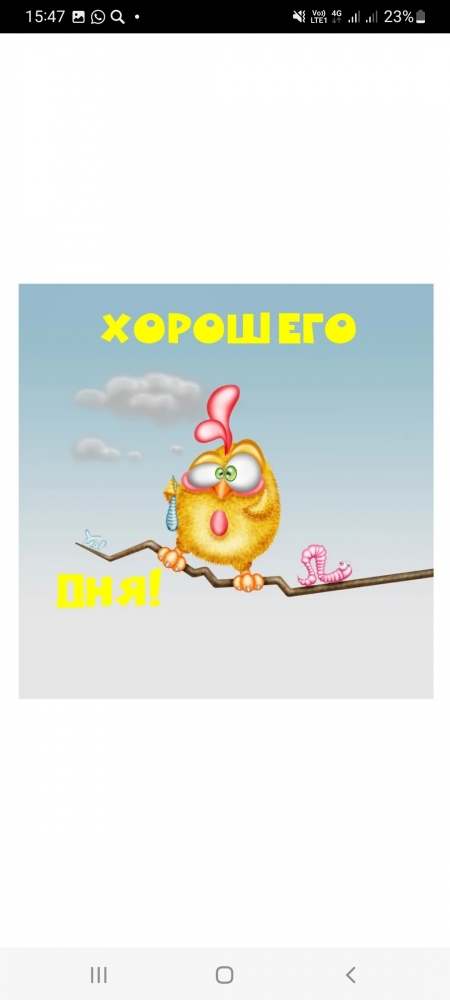 Поднимет настроение любому флегматику!, фото 2 Поднимет настроение любому флегматику!, фото 2