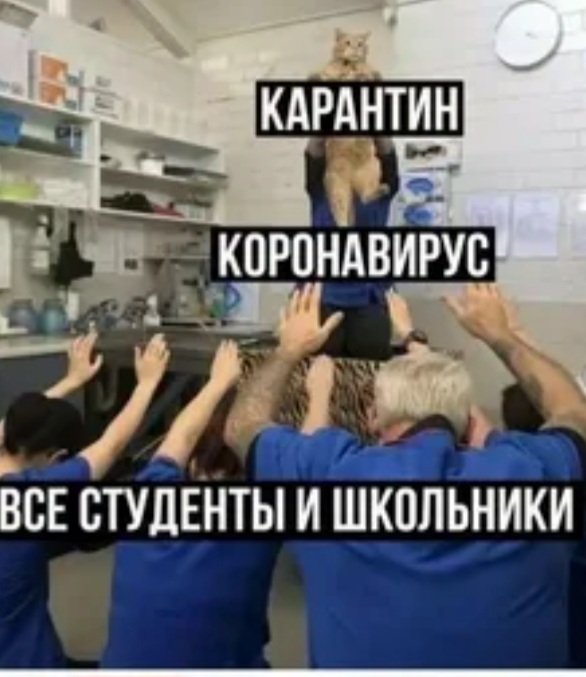 Смешные картинки про коронавирус. , фото 17 Смешные картинки про коронавирус. , фото 17