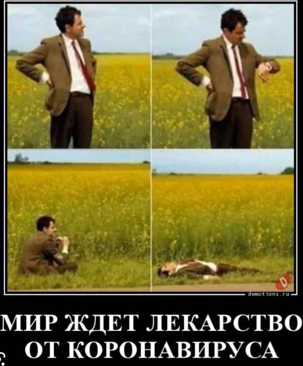 Смешные картинки про коронавирус. , фото 5 Смешные картинки про коронавирус. , фото 5