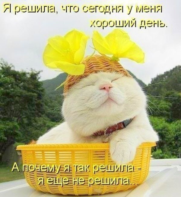 Смешные картинки для любых возрастов, фото животных и детей, фото 25 Смешные картинки для любых возрастов, фото животных и детей, фото 25