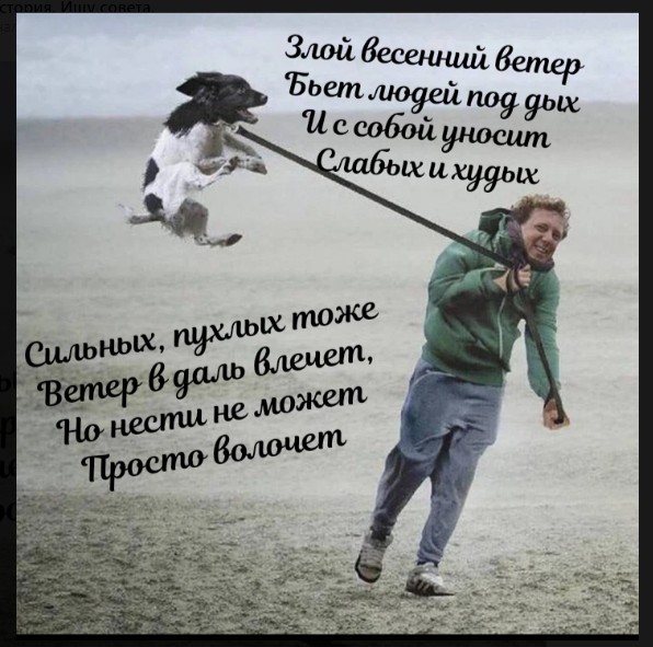 Весна пришла