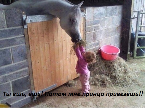 Смех продлевает жизнь!, фото 1 Смех продлевает жизнь!, фото 1