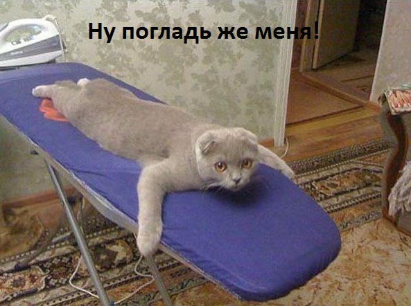 Смех продлевает жизнь!, фото 16 Смех продлевает жизнь!, фото 16