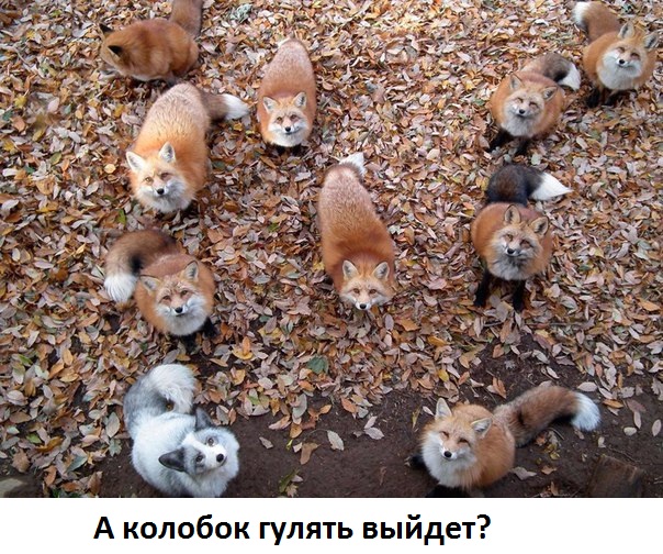 Смех продлевает жизнь!, фото 18 Смех продлевает жизнь!, фото 18