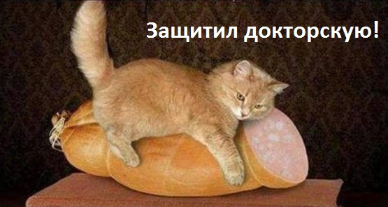 Смех продлевает жизнь!, фото 23 Смех продлевает жизнь!, фото 23