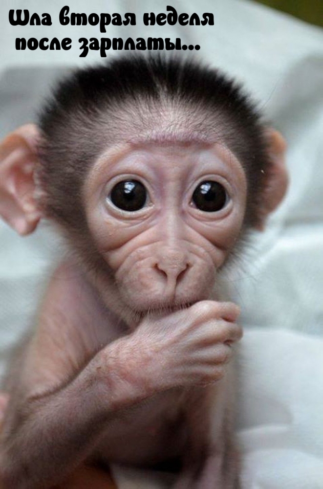 Смех продлевает жизнь!, фото 2 Смех продлевает жизнь!, фото 2