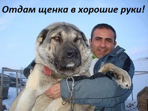 Смех продлевает жизнь!, фото 3 Смех продлевает жизнь!, фото 3