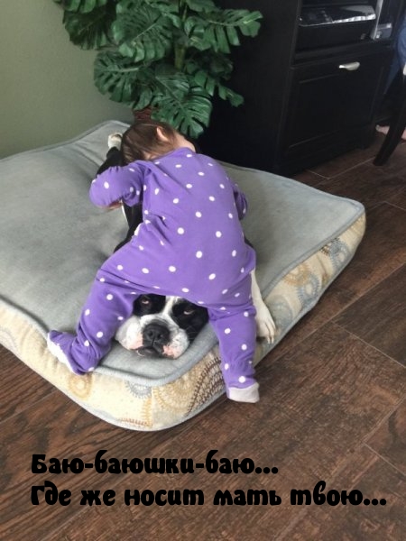 Смех продлевает жизнь!, фото 24 Смех продлевает жизнь!, фото 24