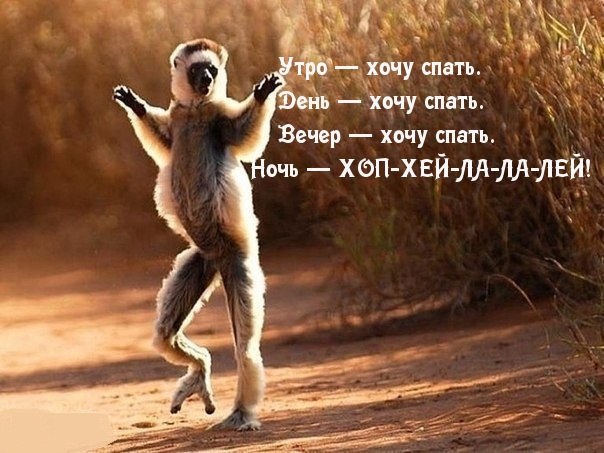 Смех продлевает жизнь!, фото 27 Смех продлевает жизнь!, фото 27