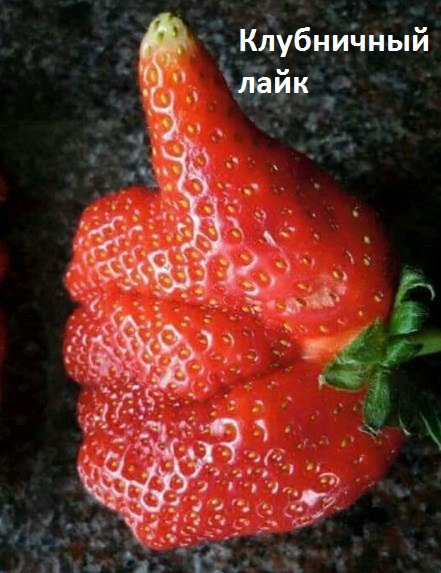 Смех продлевает жизнь!, фото 29 Смех продлевает жизнь!, фото 29