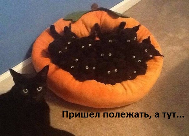 Смех продлевает жизнь!, фото 30 Смех продлевает жизнь!, фото 30