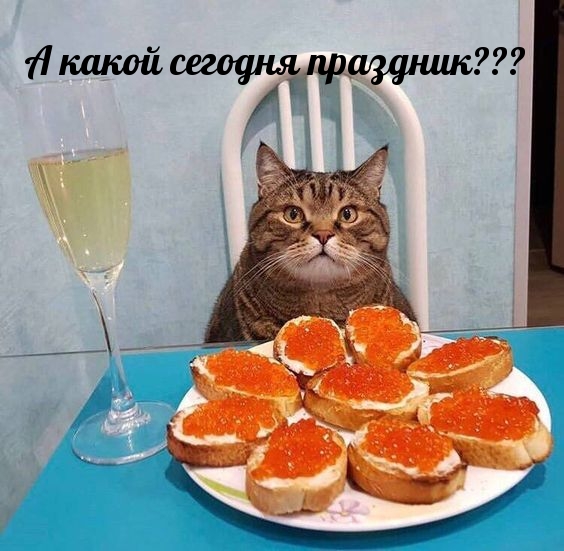 Смех продлевает жизнь!, фото 32 Смех продлевает жизнь!, фото 32