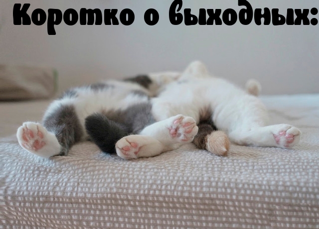 Смех продлевает жизнь!, фото 6 Смех продлевает жизнь!, фото 6