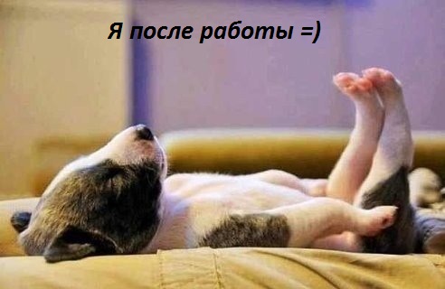 Смех продлевает жизнь!, фото 7 Смех продлевает жизнь!, фото 7