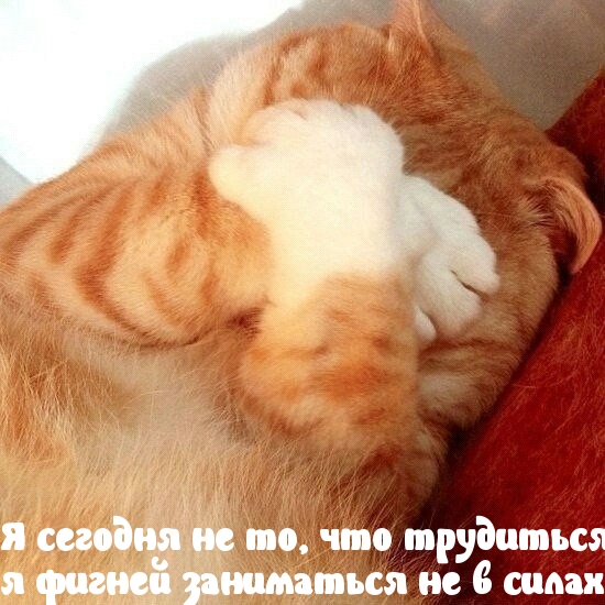 Смех продлевает жизнь!, фото 8 Смех продлевает жизнь!, фото 8