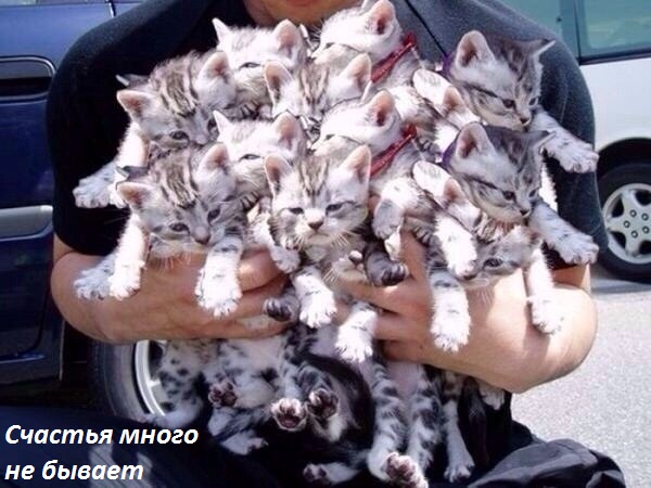 Смех продлевает жизнь!, фото 9 Смех продлевает жизнь!, фото 9