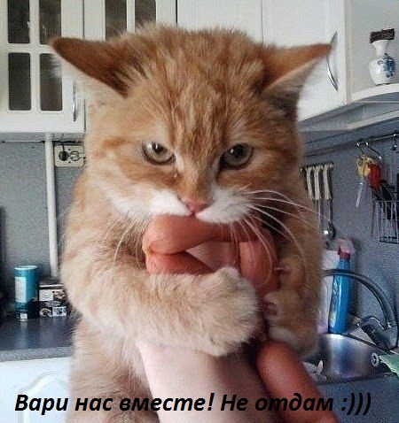 Смех продлевает жизнь!, фото 12 Смех продлевает жизнь!, фото 12