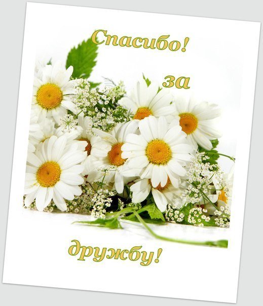 Открытки для друзей, фото 20 Открытки для друзей, фото 20