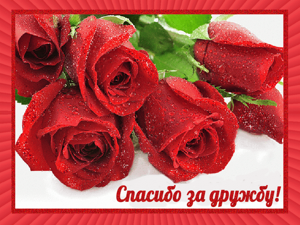 Открытки для друзей, фото 17 Открытки для друзей, фото 17