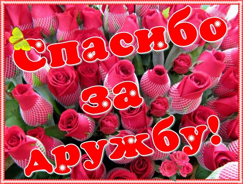 Открытки для друзей, фото 19 Открытки для друзей, фото 19