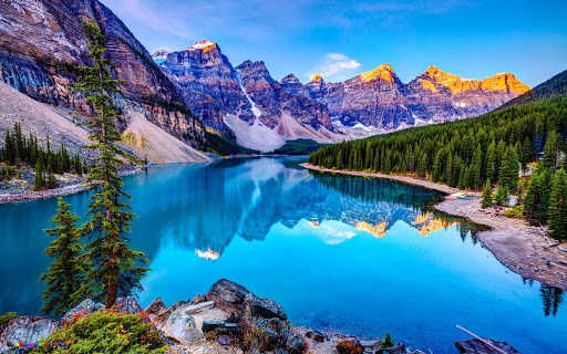 Природа как она есть