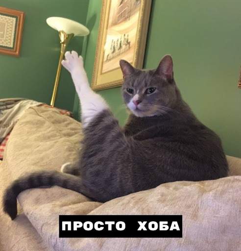 Смешные картинки с котиками. Часть 1, фото 9 Смешные картинки с котиками. Часть 1, фото 9