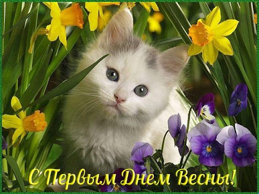 Открытки С первым днем весны, фото 3 Открытки С первым днем весны, фото 3