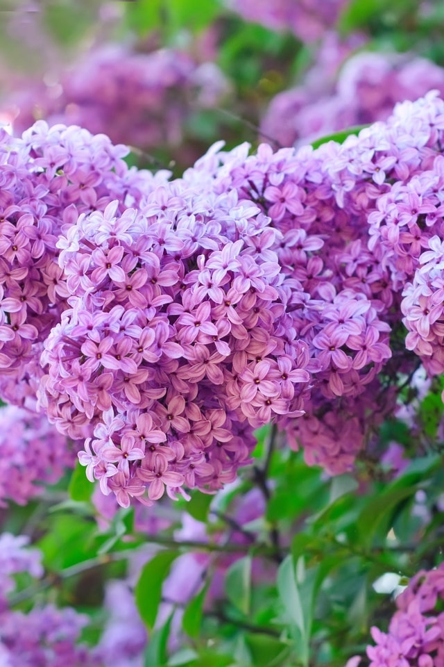 Время года Весна, фото 9