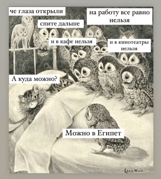 Ржачные картинки о COVID-19, фото 1 Ржачные картинки о COVID-19, фото 1