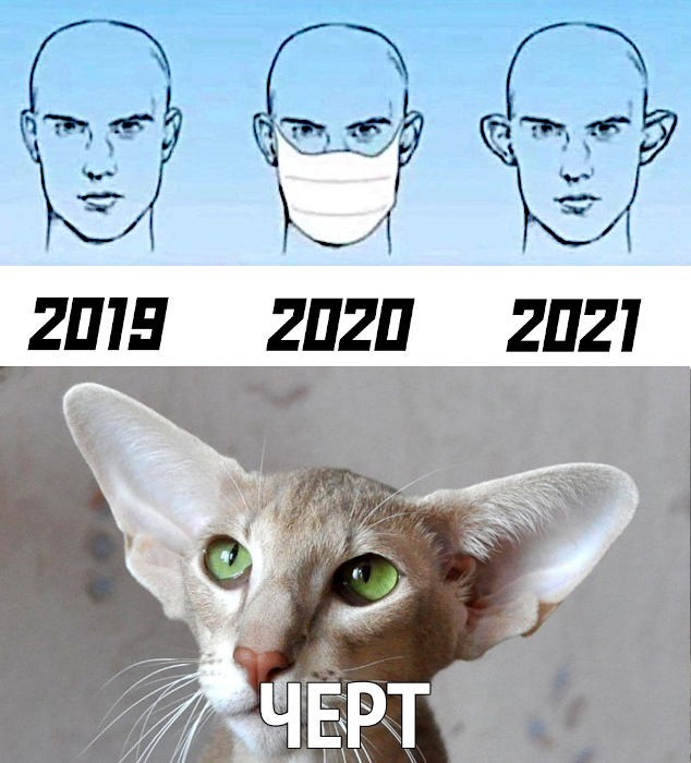 Ржачные картинки о COVID-19, фото 12 Ржачные картинки о COVID-19, фото 12