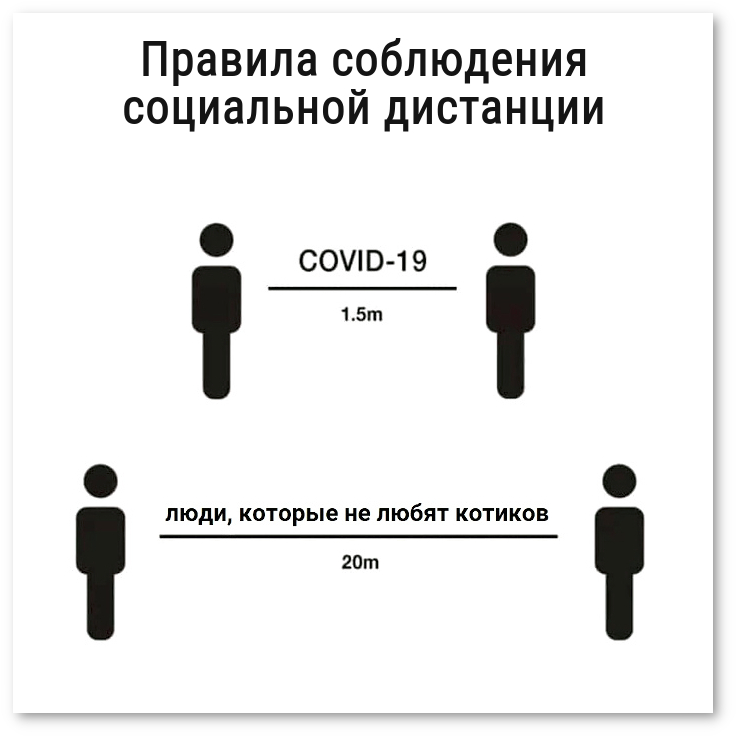 Ковид прикольные картинки