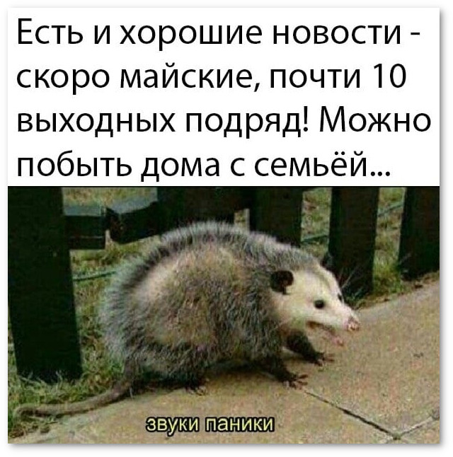 Ржачные картинки о COVID-19, фото 6 Ржачные картинки о COVID-19, фото 6