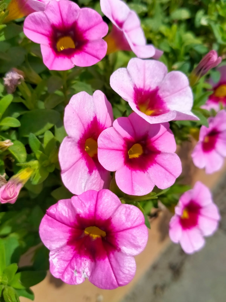 Акварели осени, фото 4