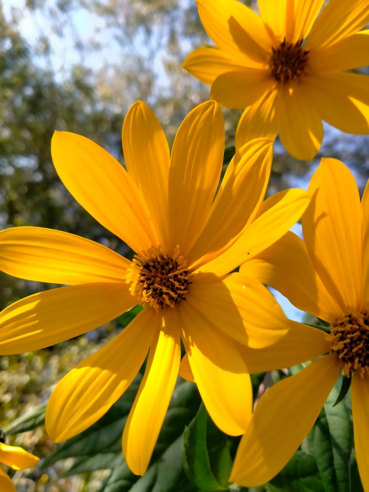 Золотая осень, фото 2