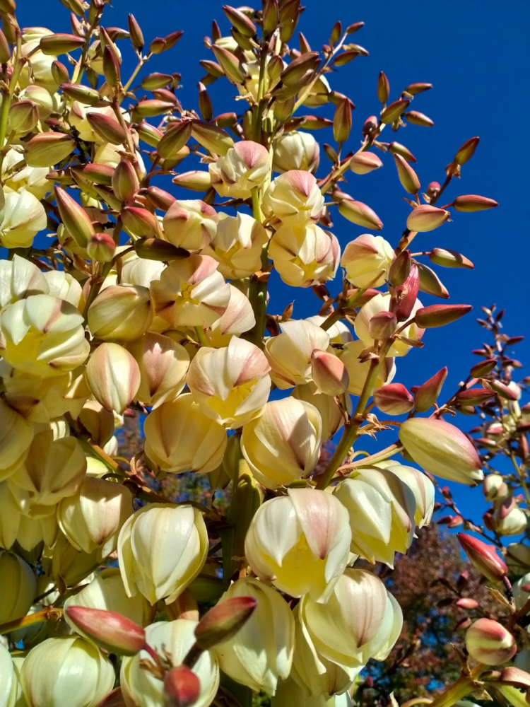 Акварели осени, фото 2