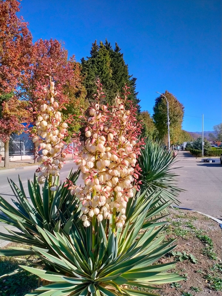Акварели осени, фото 1