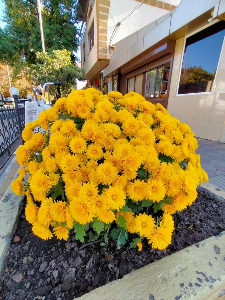 Золотая осень, фото 1