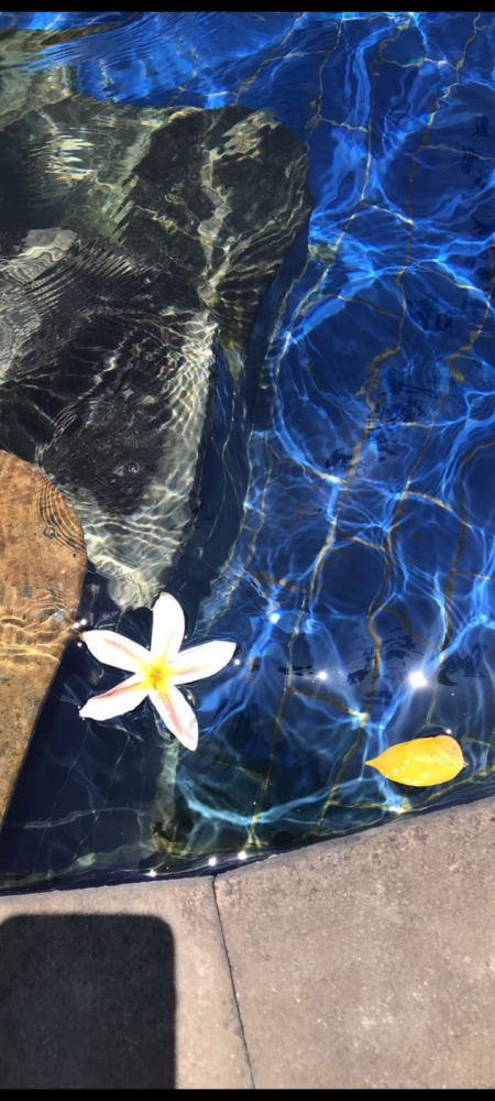 Осень на Бали, фото 6 Осень на Бали, фото 6