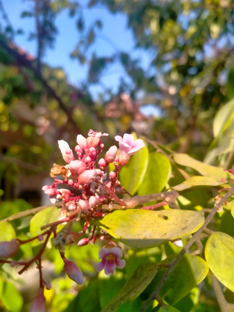 Осень на Бали, фото 5 Осень на Бали, фото 5