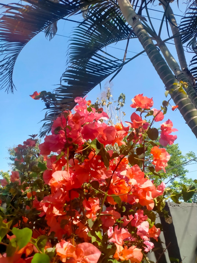 Осень на Бали, фото 3 Осень на Бали, фото 3