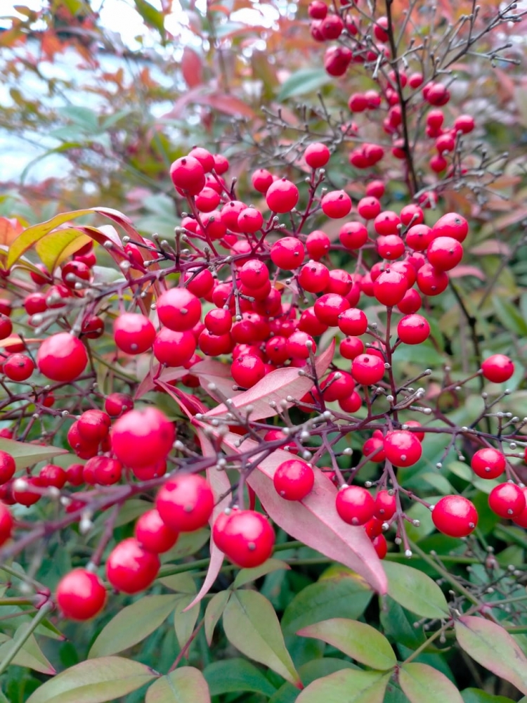 И снова весеннее настроение!, фото 6